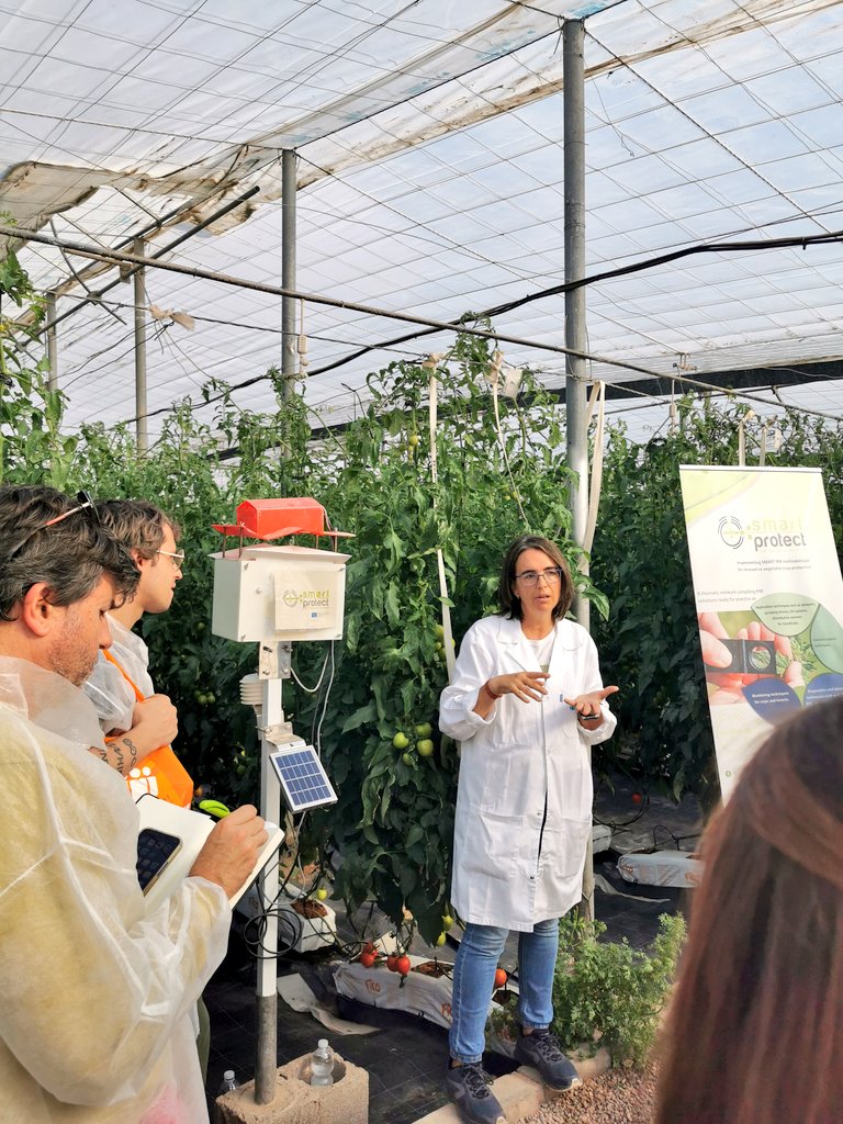 Impresionante conocer la tecnología que rodea a los cultivos en invernadero en la Jornada Greenhouse Day de <a href="/ForoDatAgri/">📲 DATAGRI</a> #DATAGRI2022
