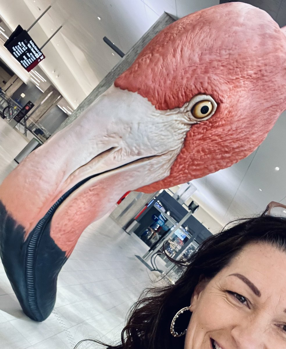 ChannelPR's tweet photo. Look who met us at 4am…💕🦩

✨“Why fit in when you were born to stand out!”✨

#PINKFLAMINGO #ONE2022
#FridayFeeling https://t.co/W2dCZ073CU