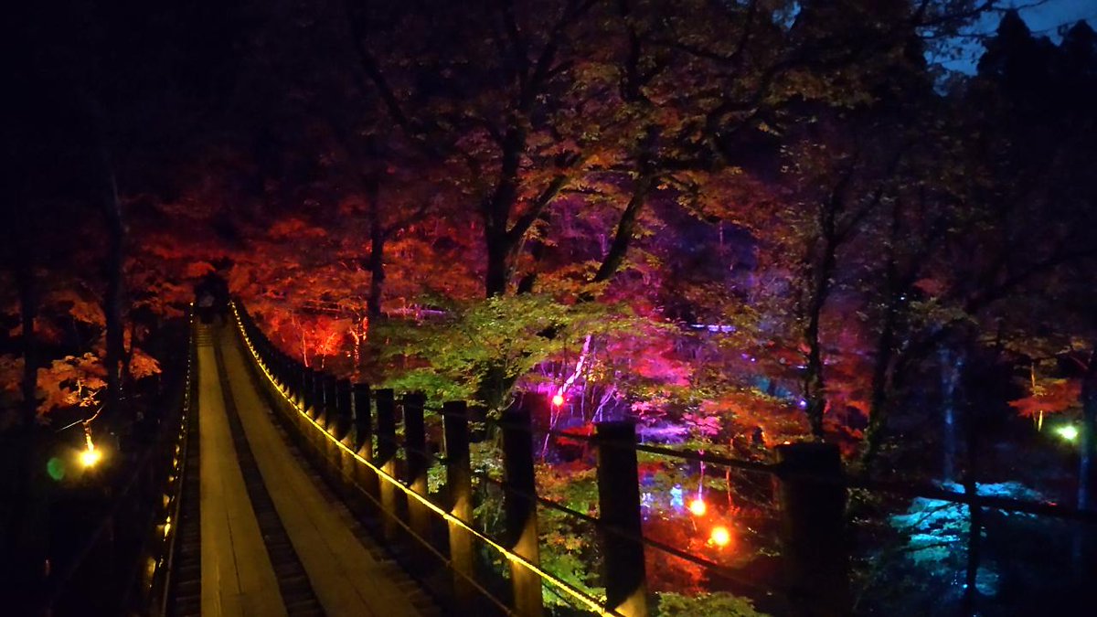 ライトアップ 試験点灯第2段！ 明日11月12日から 花貫渓谷の