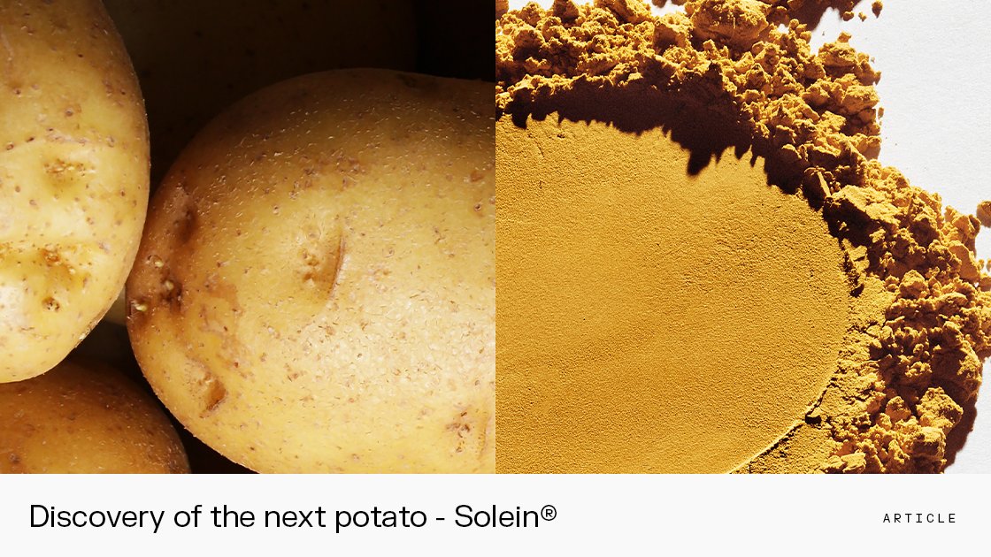 Certain foods have revolutionised society. The potato did just that as it arrived in Europe in the 16th century. Solein® wants to make a similar impact today. Read how the paths of the two ingredients are aligned.

Read more: solarfoods.com/discovery-of-t…

 #Solein #novelfood