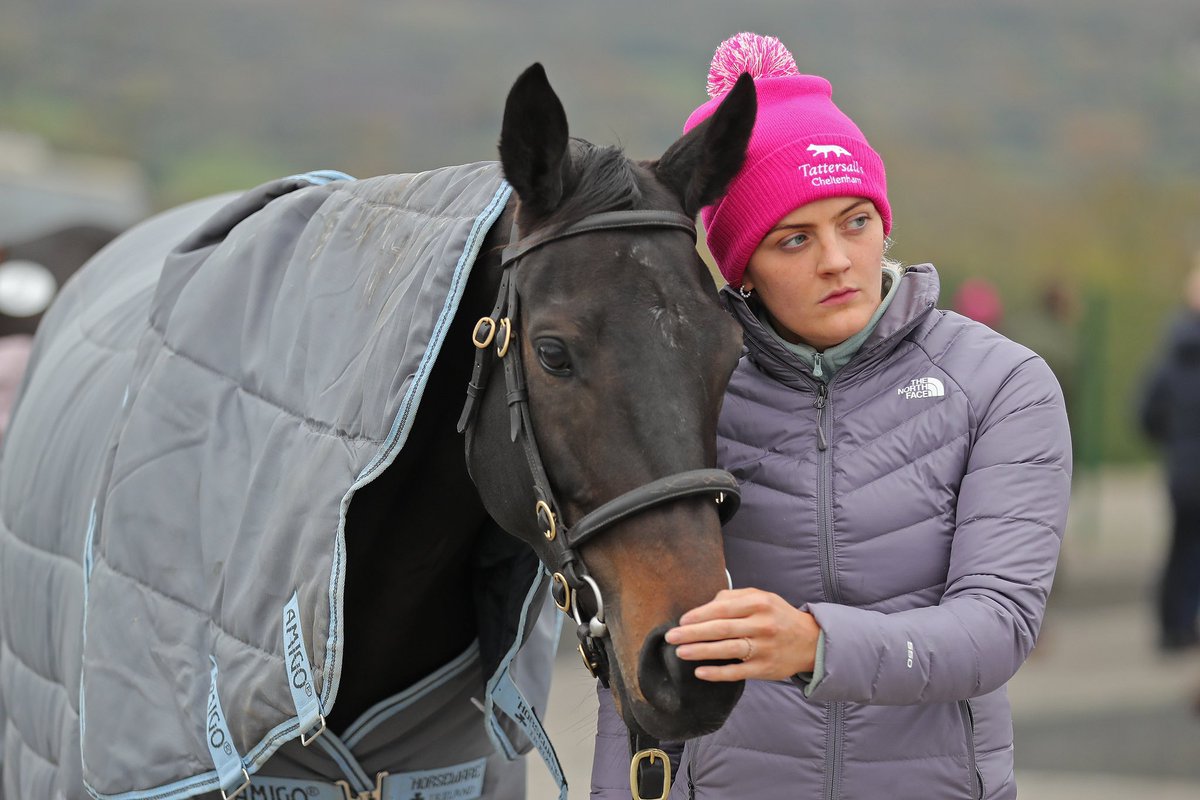 Tattersalls Cheltenham tweet media