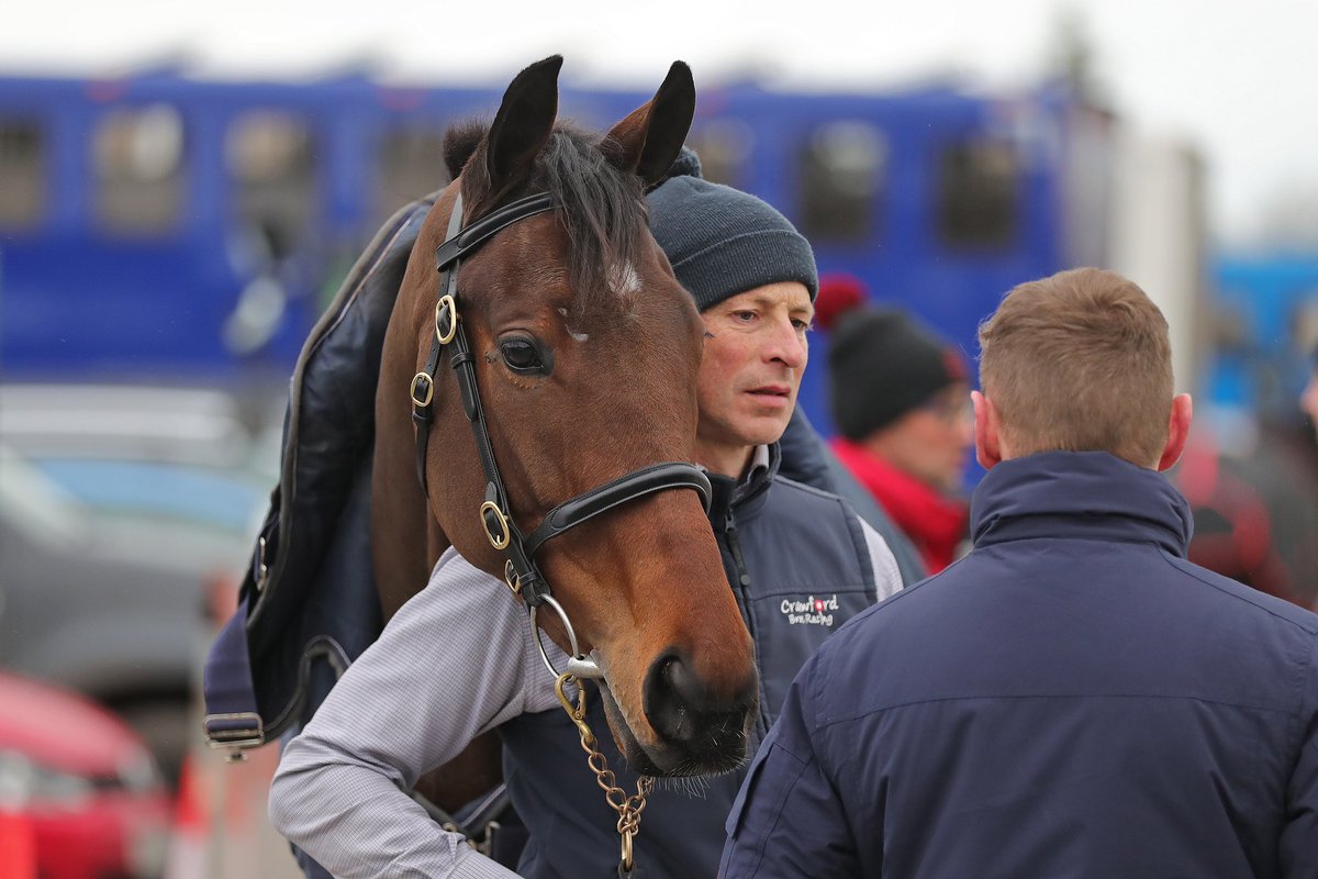 Tattersalls Cheltenham tweet media