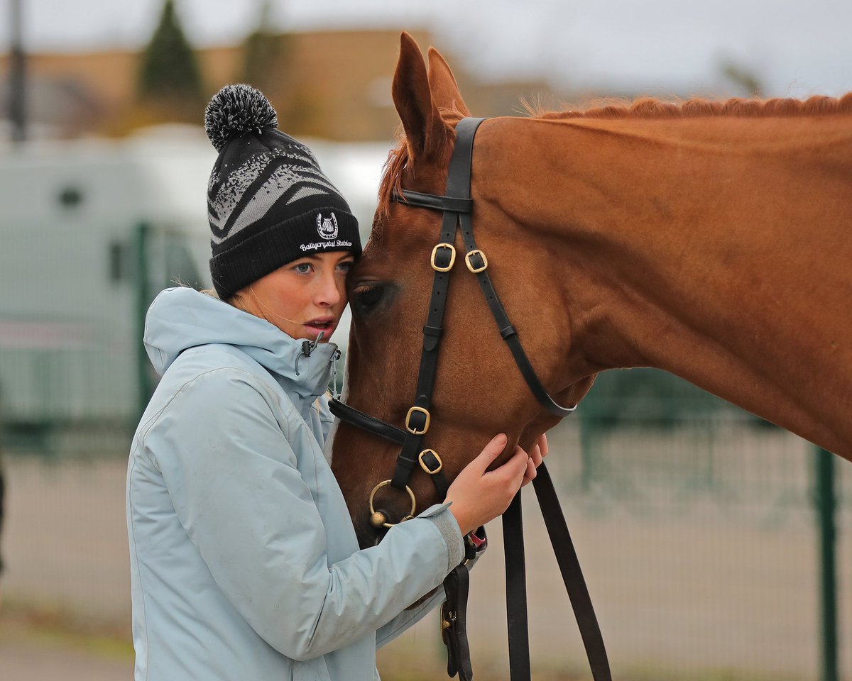 Tattersalls Cheltenham tweet media