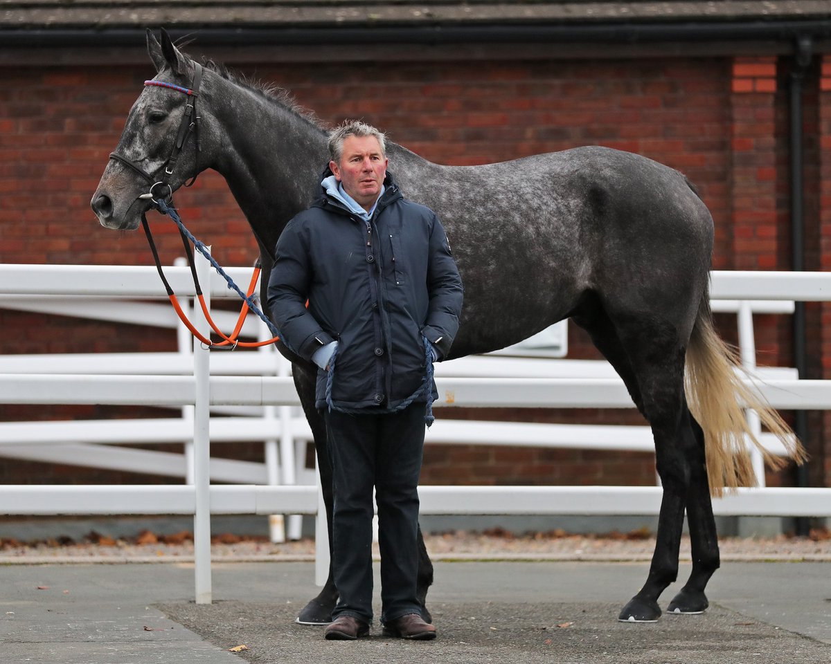 Tattersalls Cheltenham tweet media