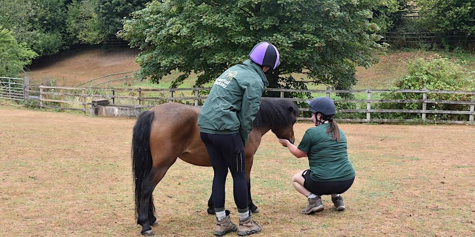 National Equine Welfare Council (NEWC) tweet media