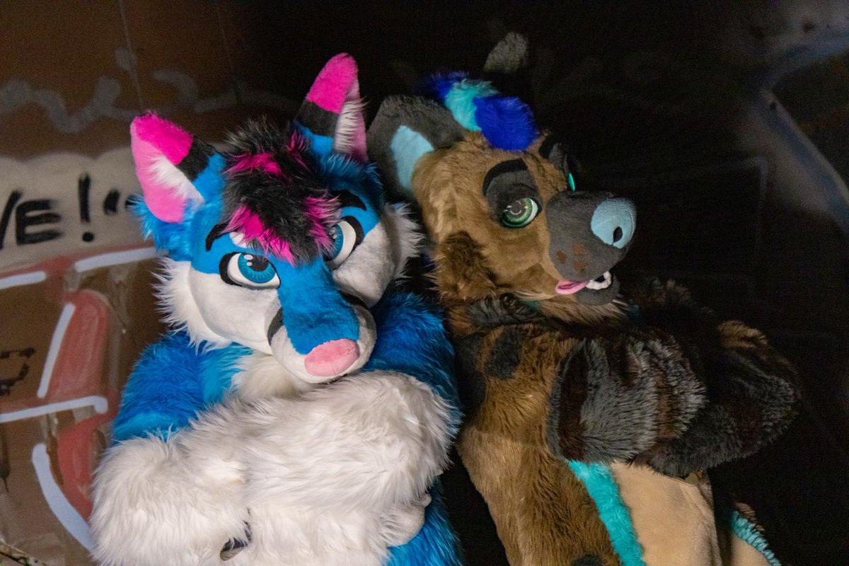 Attention! Here are the bad boys! 
With <a href="/FlyingPuma_/">FlyingPuma</a> in <a href="/TraceHyena/">Trace Hyena</a>‘s Suit.

📷:@_Fnunux 
✂️:<a href="/MilesFurStudios/">Miles Fur Studios</a> 

#FursuitFriday