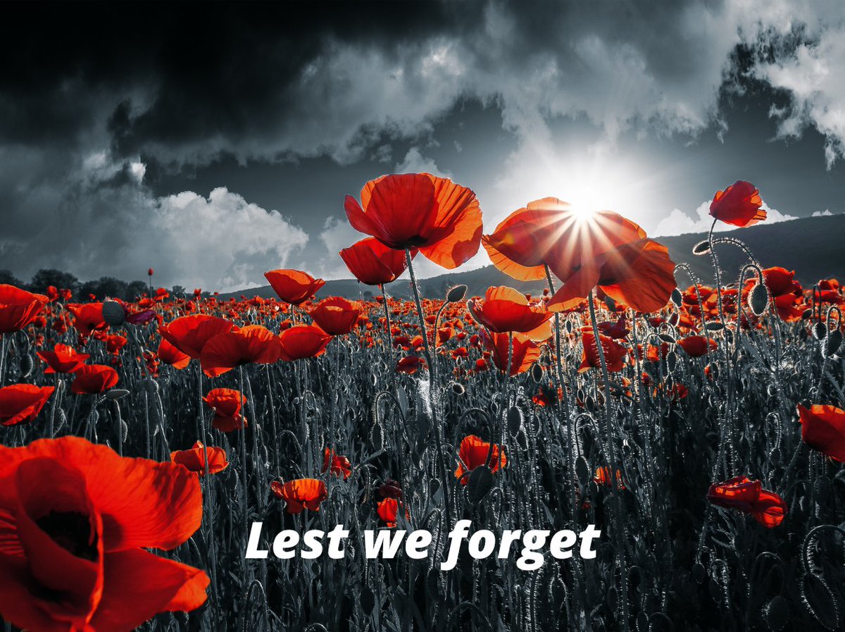 At the going down of the sun and in the morning, we will remember them. 🥀

#ArmisticeDay #RemembranceDay #LestWeForget.