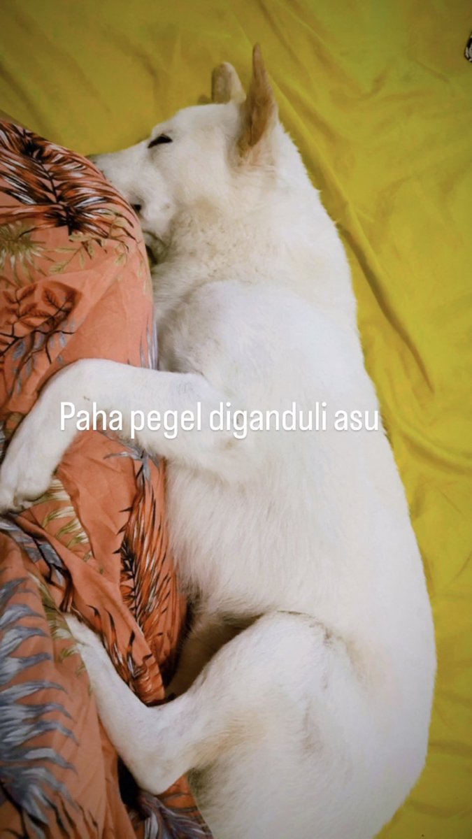 lokimomsky's tweet photo. Wkwkwkwkwk sitakut petir dan hujan https://t.co/85FhDwrbRi
