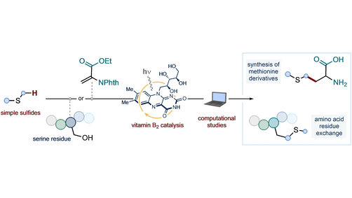 angew_chem's tweet photo. A Vitamin B2-Photocatalysed Approach to Methionine Analogues (Procter) @UoMChemistry @GroupProcter #openaccess https://t.co/UhTT4Ibzxw https://t.co/fdbuVUvxhM