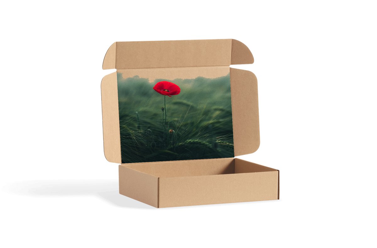 🌹 Today we shall remember the fallen and those who returned and the sacrifices they made to protect our freedom.
#LestWeForget
#RemembranceDay
#RemembranceDay2022