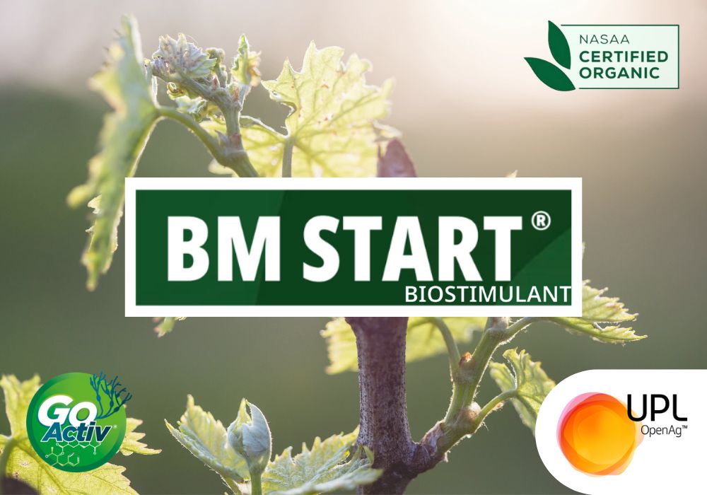 UPLAUSLtd's tweet photo. ๐Calling all #grape growers! Ready to give your bunch & berry quality a boost? #GoActiv #BMStartยฎ natural certified #organic #biostimulant #fertiliser technology promotes #fruitset for amplified #yield & quality. Find out how ๐ https://t.co/EMw8d34L9J
#UPL #OpenAg #viticulture https://t.co/ob0ykyr524