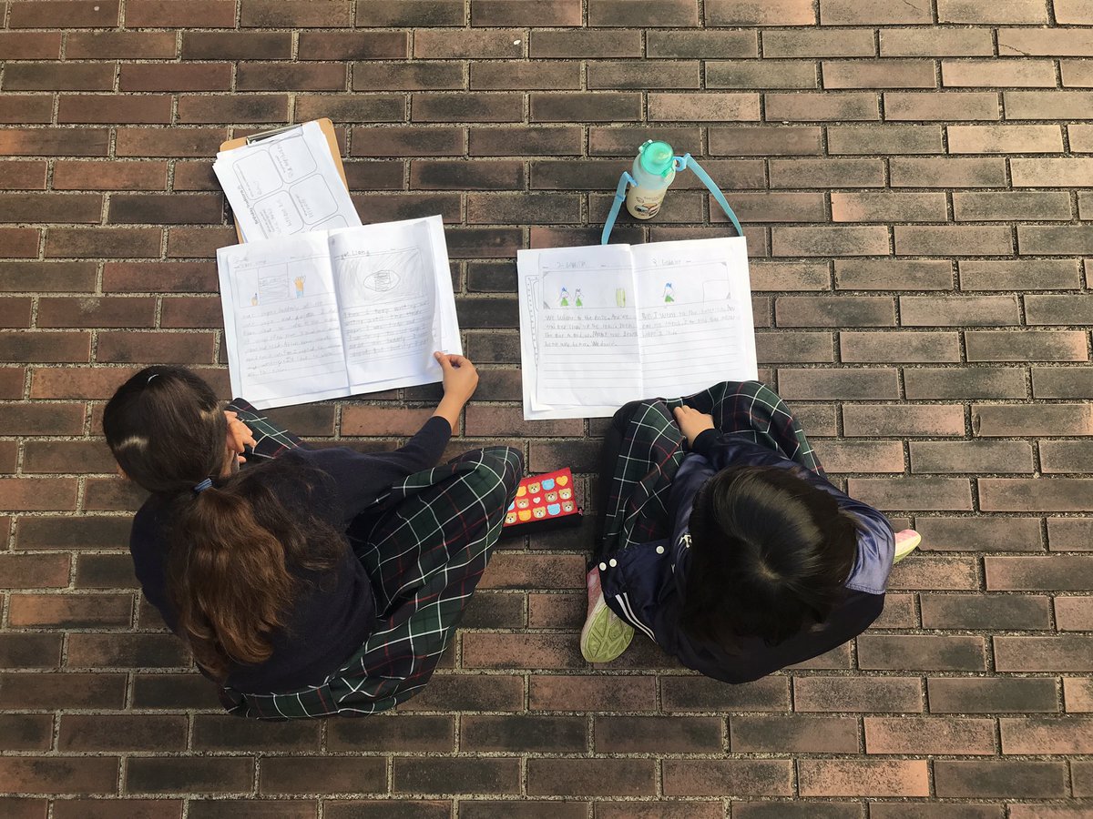 Brenda Schaefer tweet media