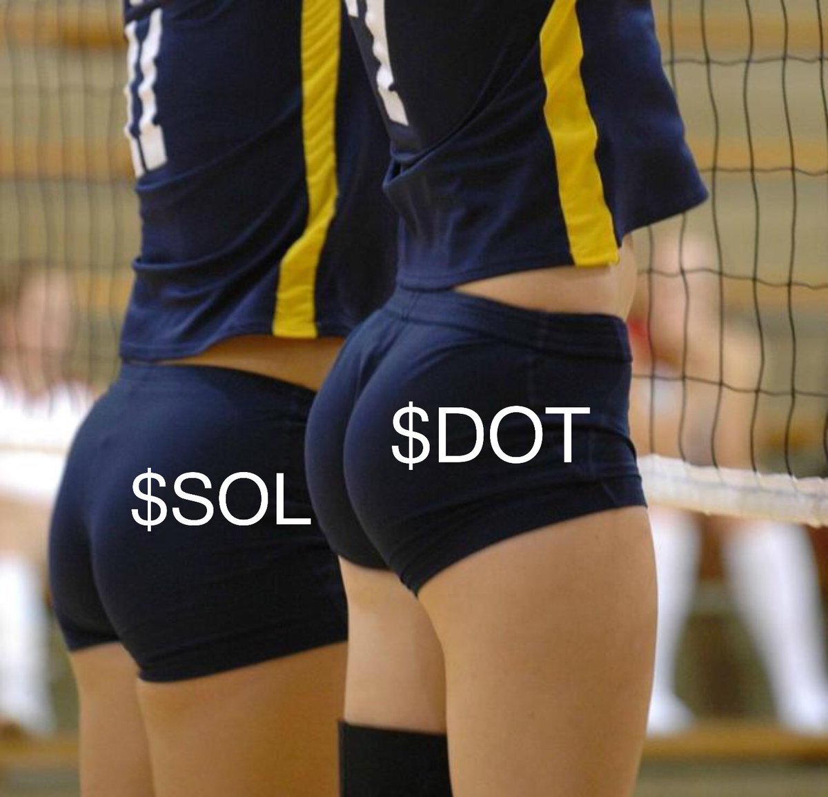 $DOT $SOL