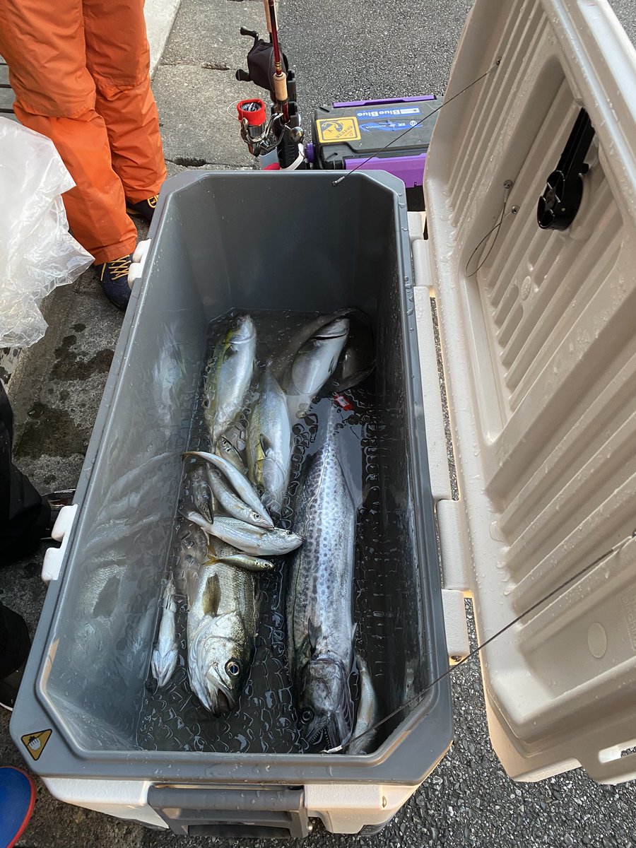 本日店主が釣りに行きました！
本日ご来店のお客様には釣りたてお魚を振る舞いますのでぜひご来店ください！