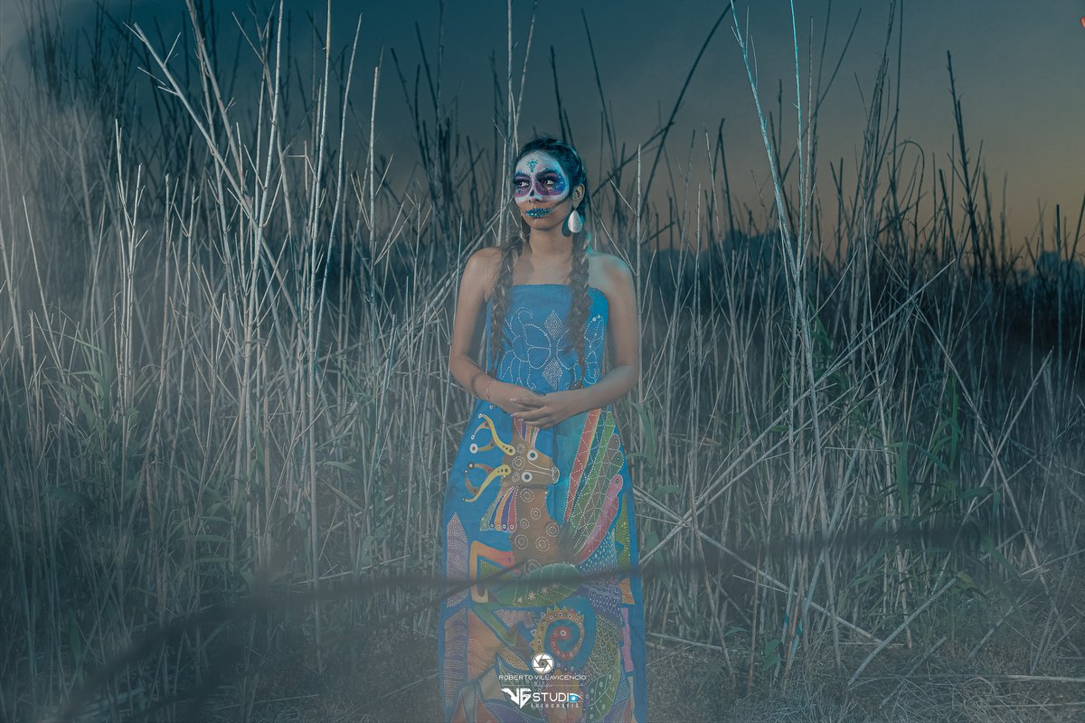 VGStudioFoto's tweet photo. #catrina #catrinamakeupchallenge #godox #canon #fotografia https://t.co/ltZDCl6edc
