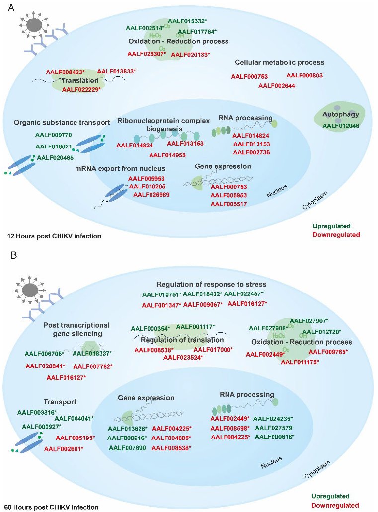 Proteomes_MDPI tweet picture