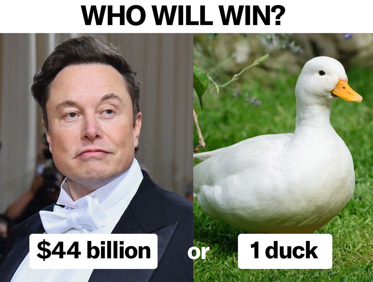 #duckageddon