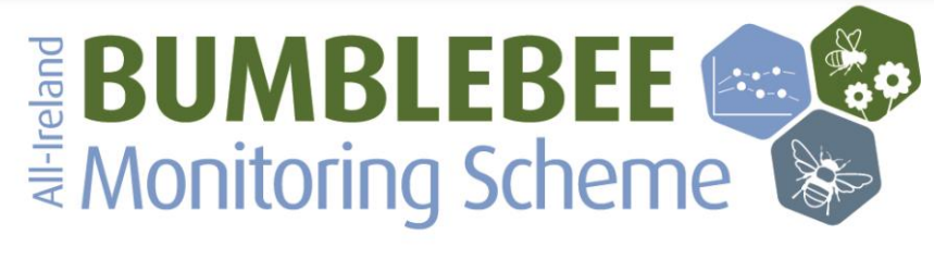 📢<a href="/BioDataCentre/">Biodiversity Ireland</a>'s All-Ireland Bumblebee Monitoring Scheme 2012-21 report is out now!

🙌It generates a multi-species population index as a measure of 🇮🇪’s #bumblebees' health, providing data that'll be used to assess the impact of the <a href="/PollinatorPlan/">All-Ireland Pollinator Plan</a>.

🔗bit.ly/3DXUkj2