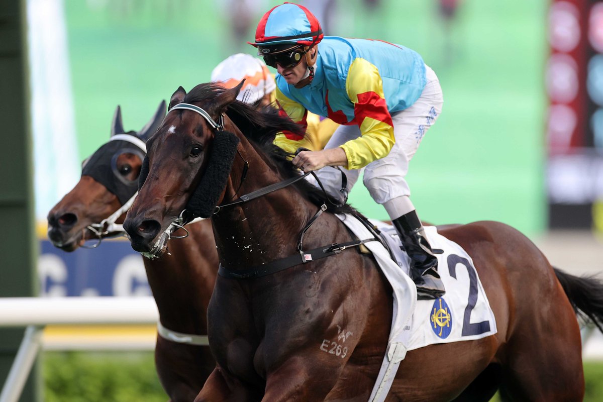Fields, form and all you need for today's 10-race fixture at Sha Tin ...
