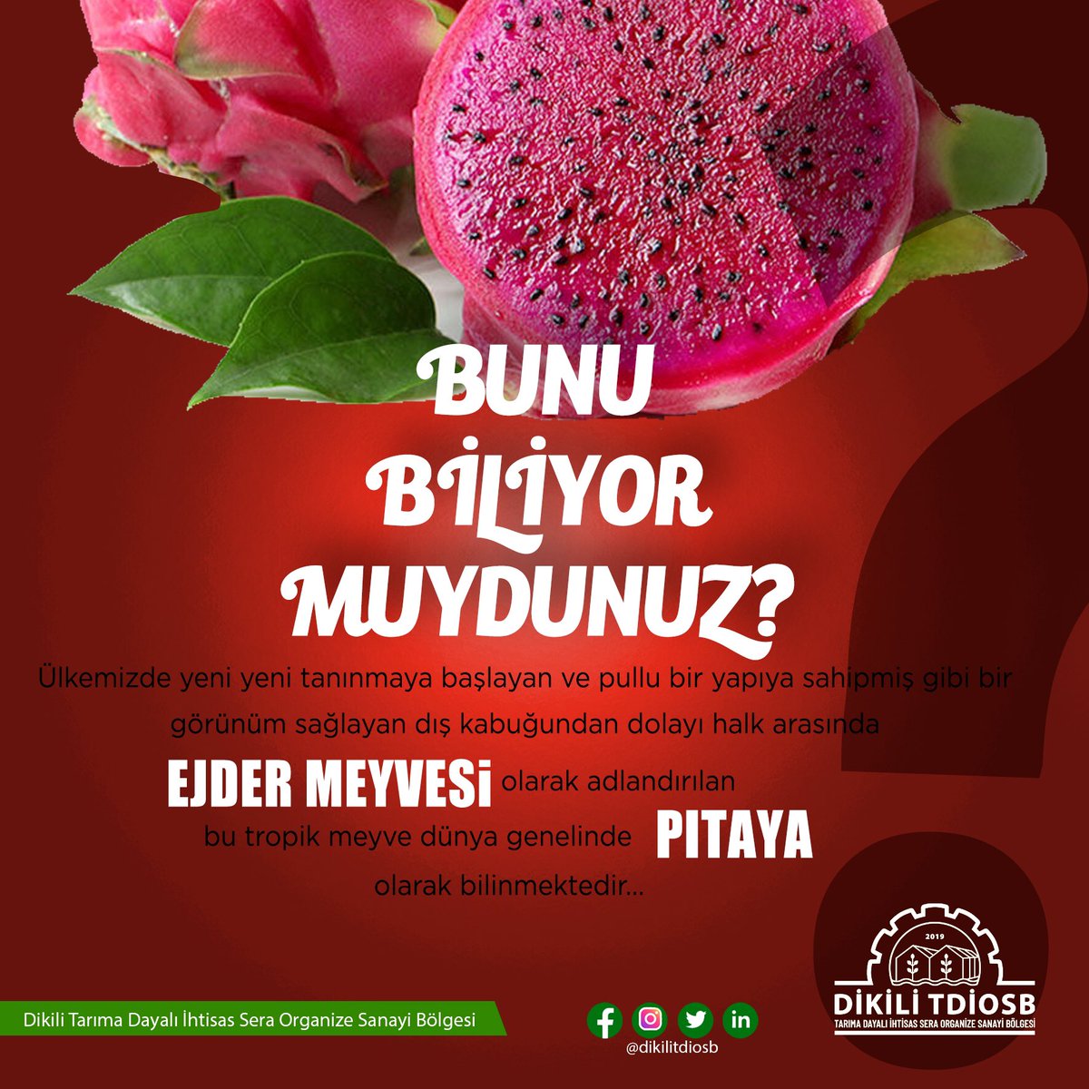 DikiliOtb's tweet photo. Dikili TDİOSB olarak katma değerli ürünlerimizle hem sofralara hem milli ekonomimize katkı sağlayacağız.
#dikilitdiosb #sera #tarım #jeotermal #greenhouse #tdiosb #tarımreformu #rüzgarenerjisi #windpower #Agriculture #greenenergy #topraksıztarım #izto #ebso #eib #izmirvaliliği https://t.co/YotvLOZFLd