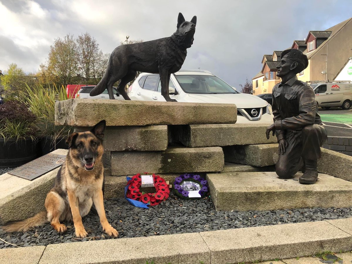 PSOSDogs's tweet photo. They shall grow not old, as we that are left grow old. Age shall not weary them, nor the years condemn. At the going down of the sun, and in the morning, We will remember them. #RemembranceDay #LestWeForget https://t.co/oOKMYsCgHv