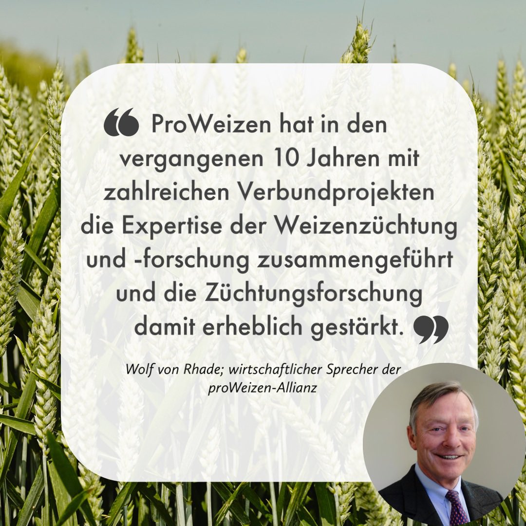 DialogBDP's tweet photo. Vor 10 Jahren wurde die Forschungsallianz #proWeizen gegründet, die zahlreiche Projekte für eine effizientere Weizenzüchtung realisiert hat. Eine Übersicht der Projekte und Partner findet ihr hier https://t.co/UGKXrRvJl4 https://t.co/rIGcsIg8rQ