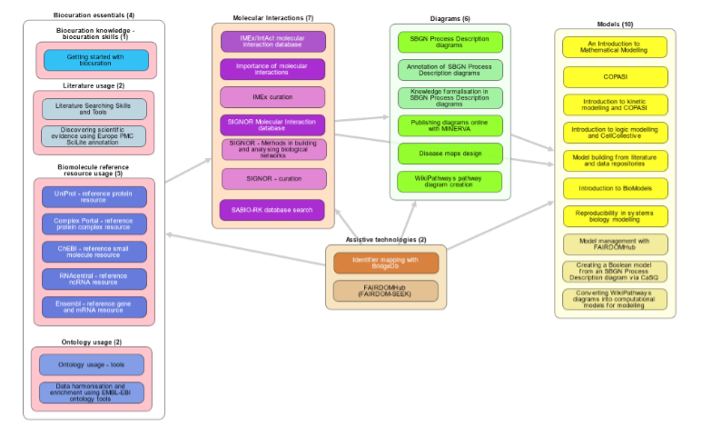 imexconsortium's tweet photo. New to the field of #SystemsBiology? Visit the  hands-on tutorial workflow on the @ELIXIREurope  training website and access lots of great #OpenAccess  introductory modules telling you how to use and build @biomodels. Built at #BioHackEU22 @ElixirTess  
https://t.co/kG94NYo7JL https://t.co/ggfFiIGBn4
