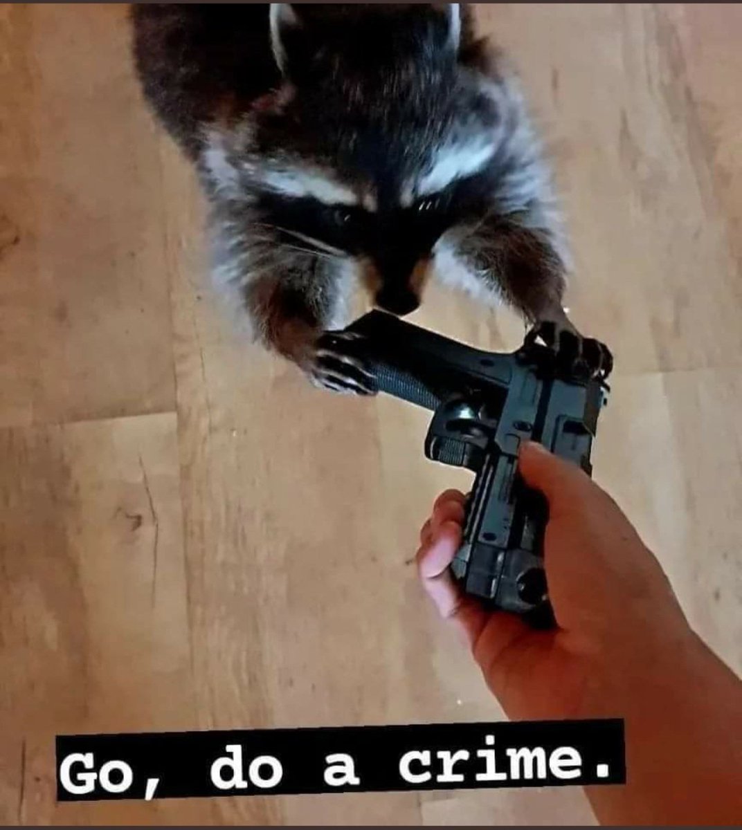 Raffo2077's tweet image. CT to Bahamas residents today