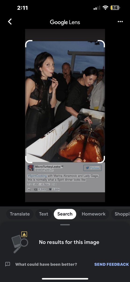 Whitney tweet media