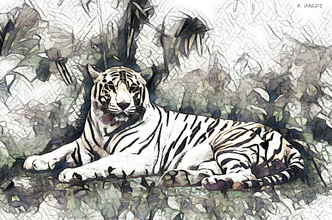 NFT_NETW0RK's tweet photo. Title: Albino Tiger
Artist: A. HARGIS
OpenSea - https://t.co/mD0z9nCqdF

#NFT #NFTs #art #artist #digitalart #NFTproject #NFTcollector #NFTCommunity #Blockchain #Metaverse #OpenSea #Rarible #Foundation #SuperRare #Bitcoin #btc #eth #Solana #Polygon #tezos #crypto https://t.co/iaYTDnjapG