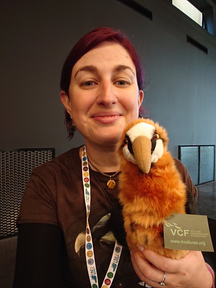 New friend!
#BeardedVultures2022 #LoveVultures