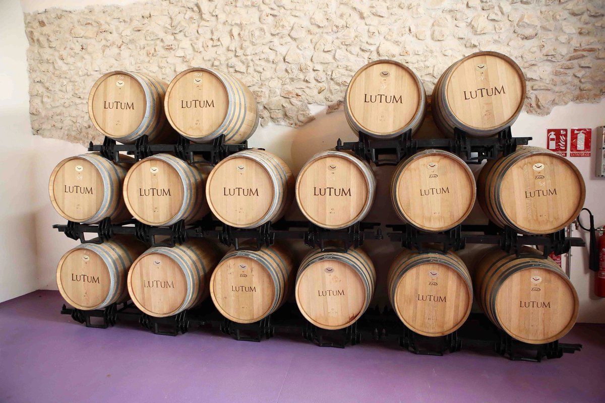 BodegasPeral's tweet photo. Nuestra deseo es claro y sencillo: Entra en nuestra web, elige un pack, ven a vernos y descubre cada uno de los rincones de nuestra bodega, ¡te dejará maravillado! ¿Te apuntas? 🍷😊
Escoge el pack que mejor se adapte a tus gustos 👉👉 https://t.co/IjF5XLlBaJ
#bodegasperal #madrid https://t.co/LncygJtKMY