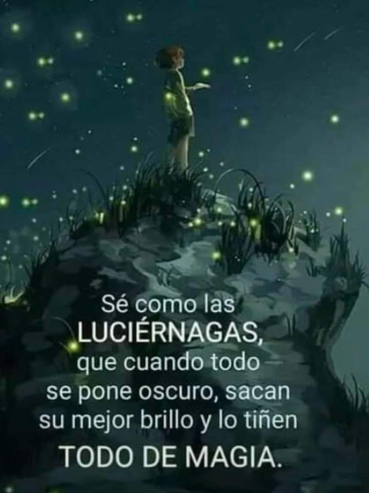 VidaEquilibrad4's tweet photo. https://t.co/liv2ASn90w