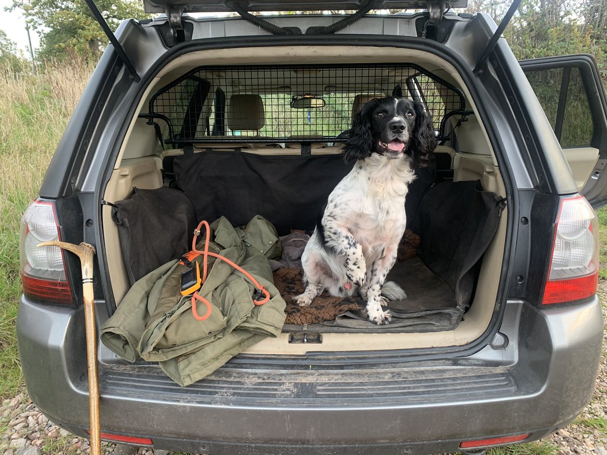 mark_rowbottom's tweet image. Everyone have a good Friday 👍🐾