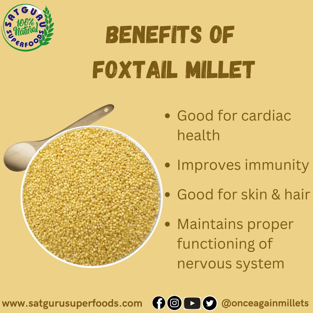 2nd most widely planted species of millet, FOXTAIL MILLET aka Kangni/ Kakum, is a positive millet that reduces bad cholesterol and helps maintain bone &amp; muscle health

#foxtail #foxtailmillet #nutricereal #superfood #positivemillets #milletsforlife #onceagainmillets