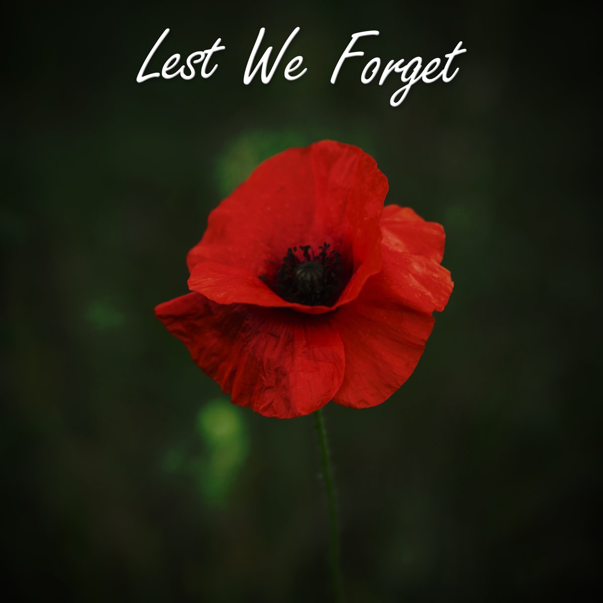 We will remember them