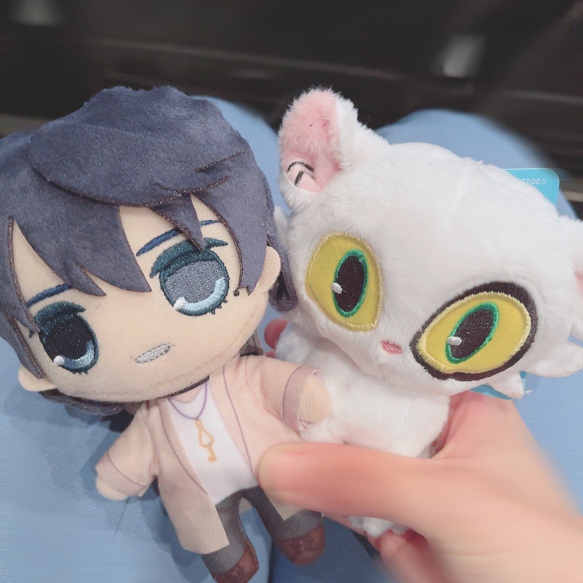 shadowmiya's tweet photo. 帰りにすずめチャレンジするか否か https://t.co/KiFIMtL8qB