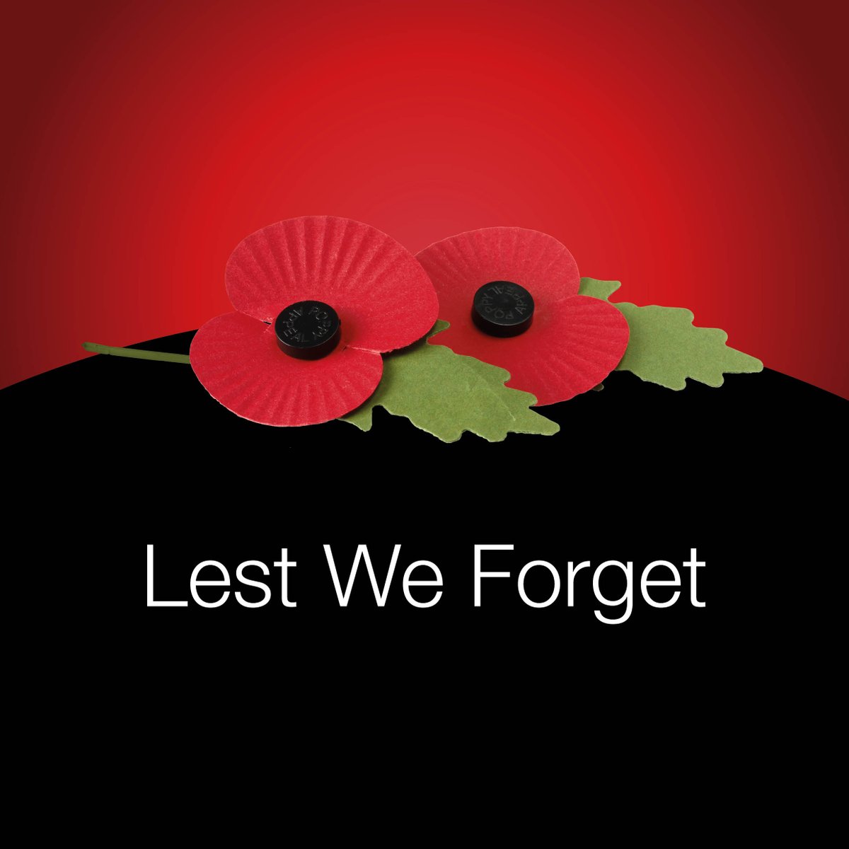 Lest we forget 💮

Today, November 11th, at 11 a.m., observe a two-minute silence in honour of all those who made the ultimate sacrifice to protect our freedom.

#LestWeForget #WeWillRememberThem #RemembranceDay #Remembrance #ArmisticeDay