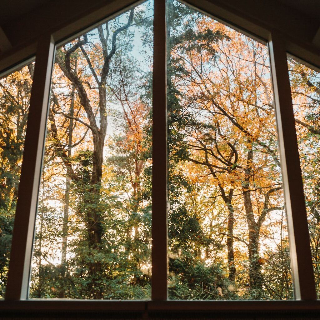 Autumn vibes 🍁 instagr.am/p/Ck0A4NCtWFk/