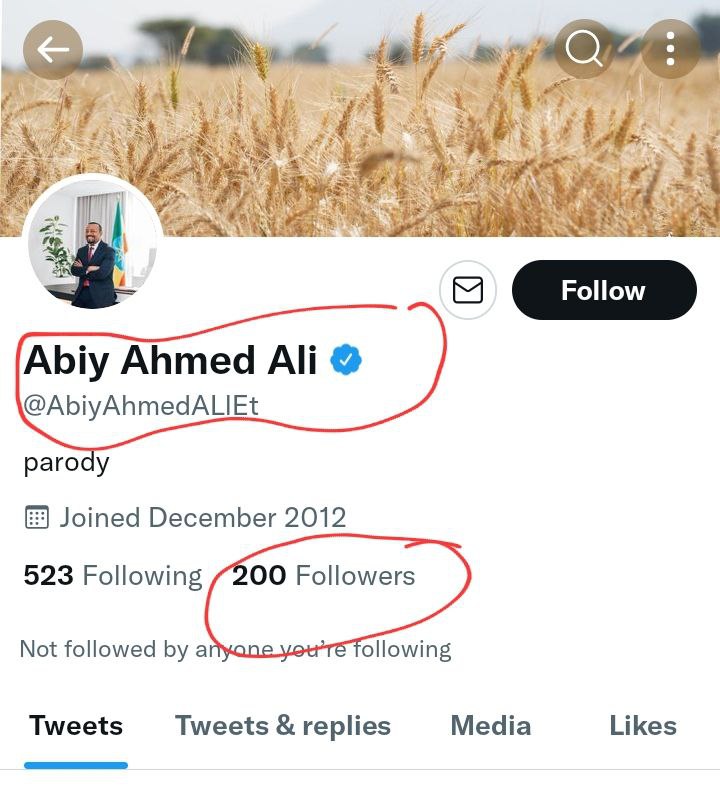 #FakeAccountAlert

Be informed that the following Twitter account opened with the name and picture of <a href="/AbiyAhmedAli/">Abiy Ahmed Ali 🇪🇹</a> is an imposter and Fake account. 

PM Abiy has only one Twitter account with more than 1.3 million followers that was opened in SEP 2019.