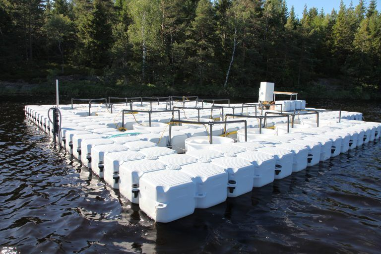 aquacosm's tweet photo. We are pleased to announce the opening of the first Transnational Access calls for 2023!

We fund scientists, students, and industry professionals to participate in our experiments!

Starting with an experiment @SITESAquaNet about 1/2 https://t.co/cr8IYC55fV