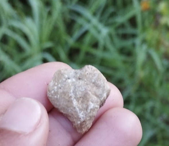 Fare metà del bene che possiamo fare, porta sempre un pizzico di calore a chi lo riceve. S. Martino con mezzo mantello fece felice un uomo. Quanto possiamo fare noi con 1/10 o ... delle cose  che abbiamo. Anche il buon giorno detto con il cuore, è render felici. Buona giornata