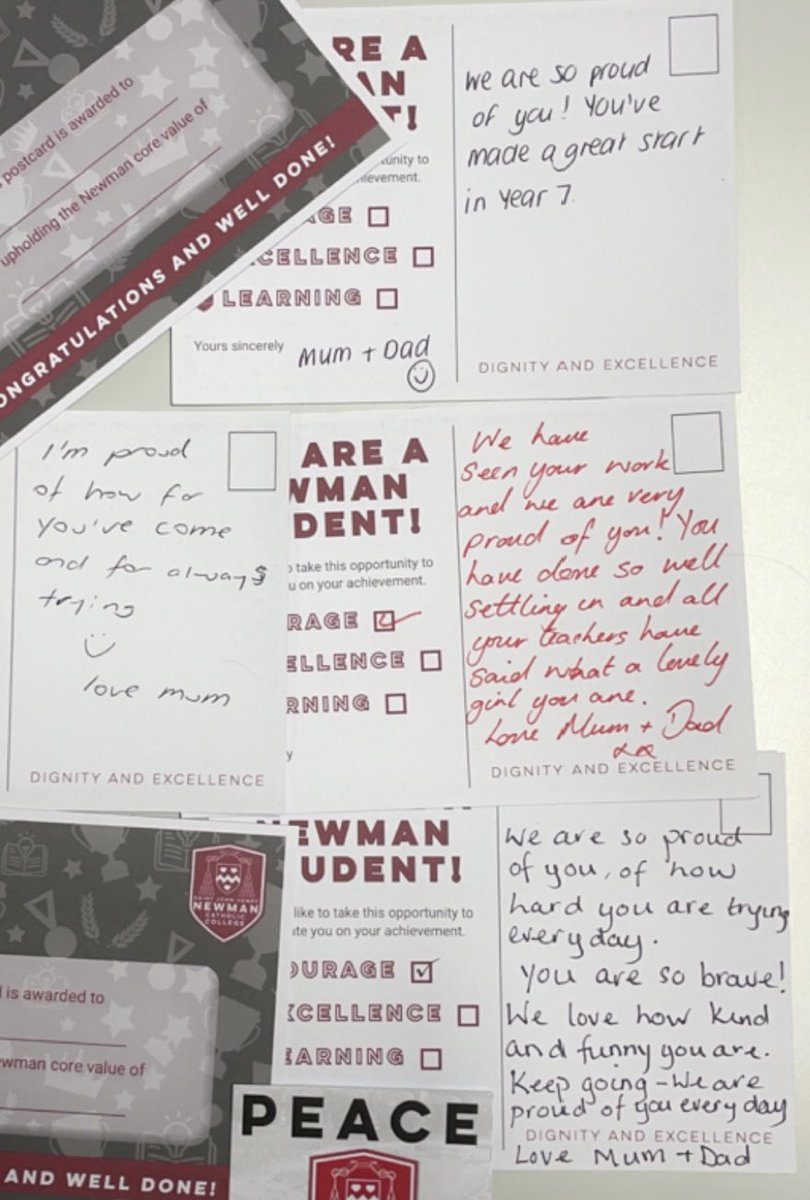 Newman_SEND tweet media