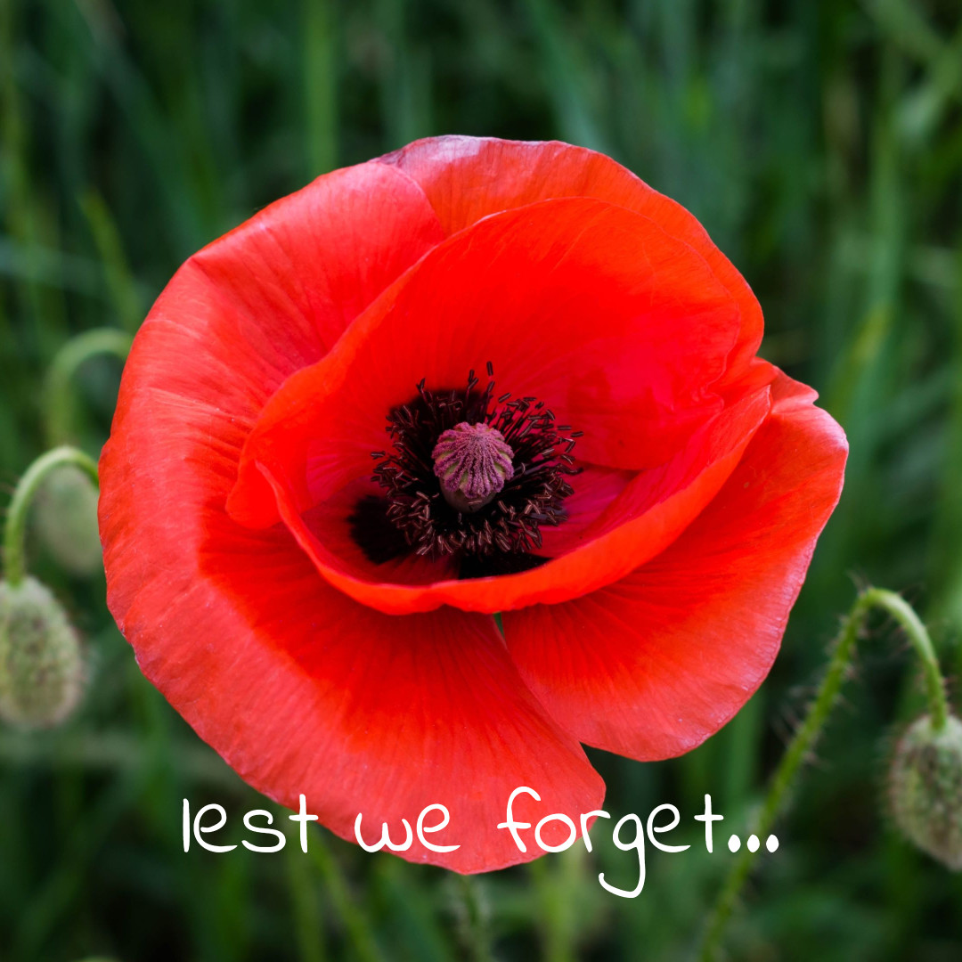 𝑊𝑒 𝑤𝑖𝑙𝑙 𝑟𝑒𝑚𝑒𝑚𝑏𝑒𝑟 𝑡ℎ𝑒𝑚

#remembranceday #lestweforget #wewillrememberthem