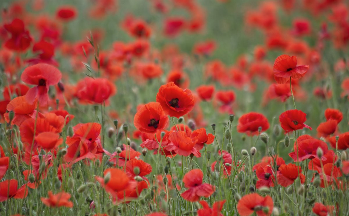 Christian Police Association UK tweet media