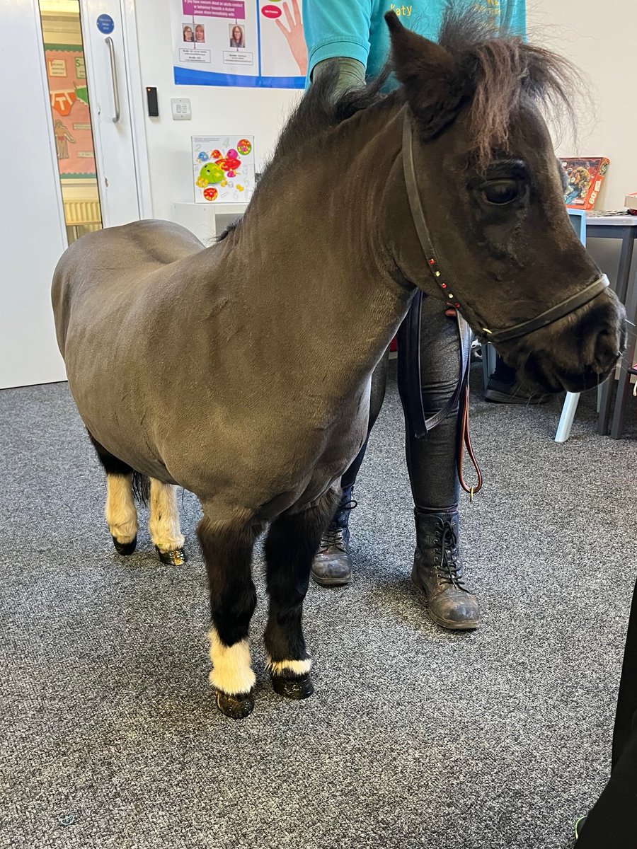 IndiaS__VFE's tweet photo. https://t.co/ikq29VqL85