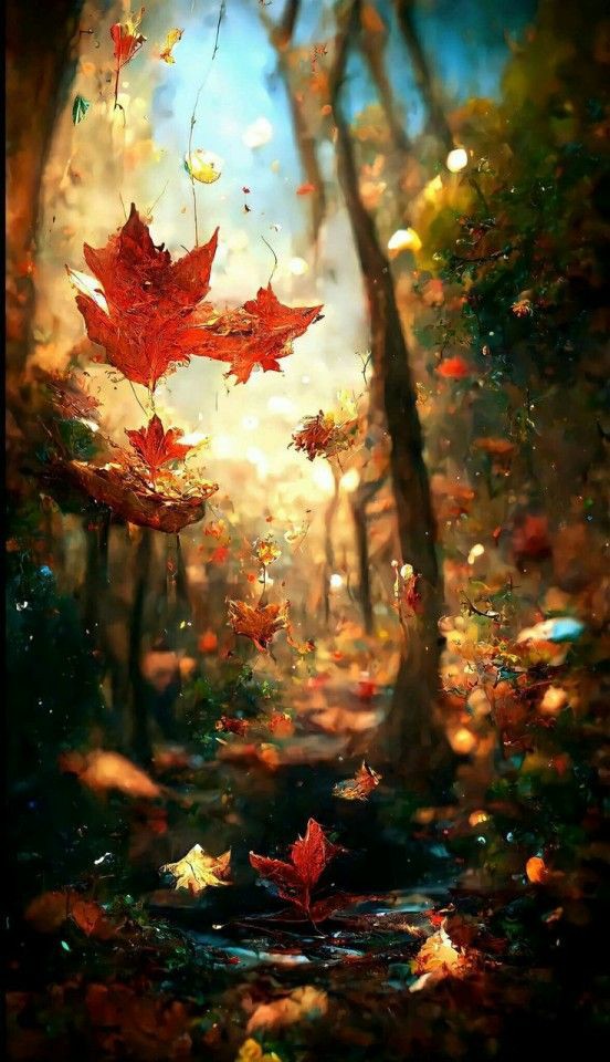 ruben_corella's tweet image. #falltime #fallmotivation #fallcolours #bosques #forest #wood #fallmood #otoño #otoñodeamor #colours #bondia #nature #fulltime #fallingleaves #goodweekend #beautiful #coloresdeotoño #FridayFeeling #Fridaymood #tt #pic #wonders