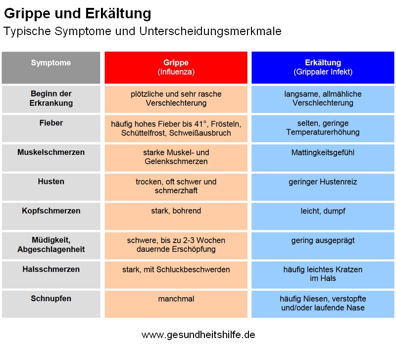 Die #Grippewelle ist schon da. Deutlich früher als in den Jahren vor #Corona. Wer sich nun fragt: Habe ich eine #Erkältung oder die #Grippe? Unsere Übersicht zeigt die typischen Symptome und Unterschiede. Mehr in unserem Special: gesundheitshilfe.de/gesundheit-az/…