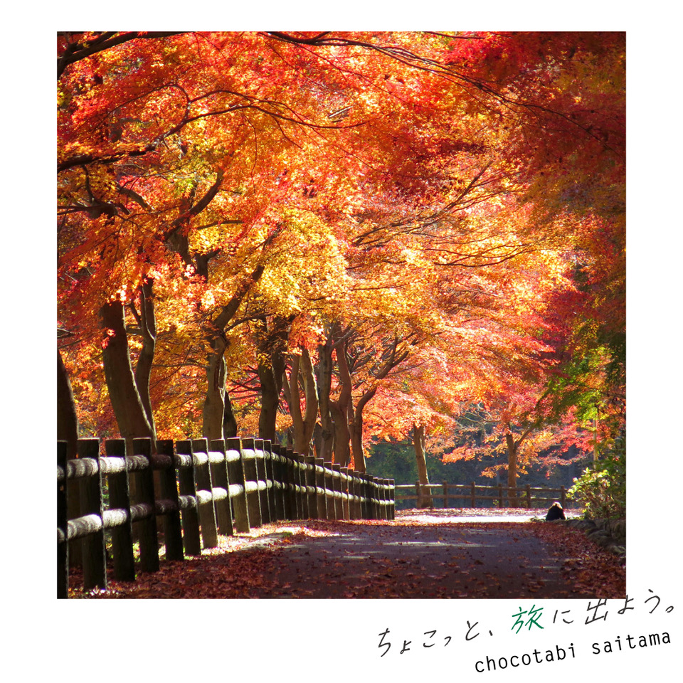 saitamakanko's tweet photo. 秋の #秩父 を観光しましょう!
【 #秩父ミューズパーク #MAPLE_BASE 】
真っ赤な紅葉に色づいた園内を散策しながら、メープルシロップが美味しいカフェで至福のひと時を過ごしませんか🍁
https://t.co/uxIBl70q0U
https://t.co/euRi6y94XO
#埼玉 #ちょこたび埼玉 https://t.co/lv63Yl25h8