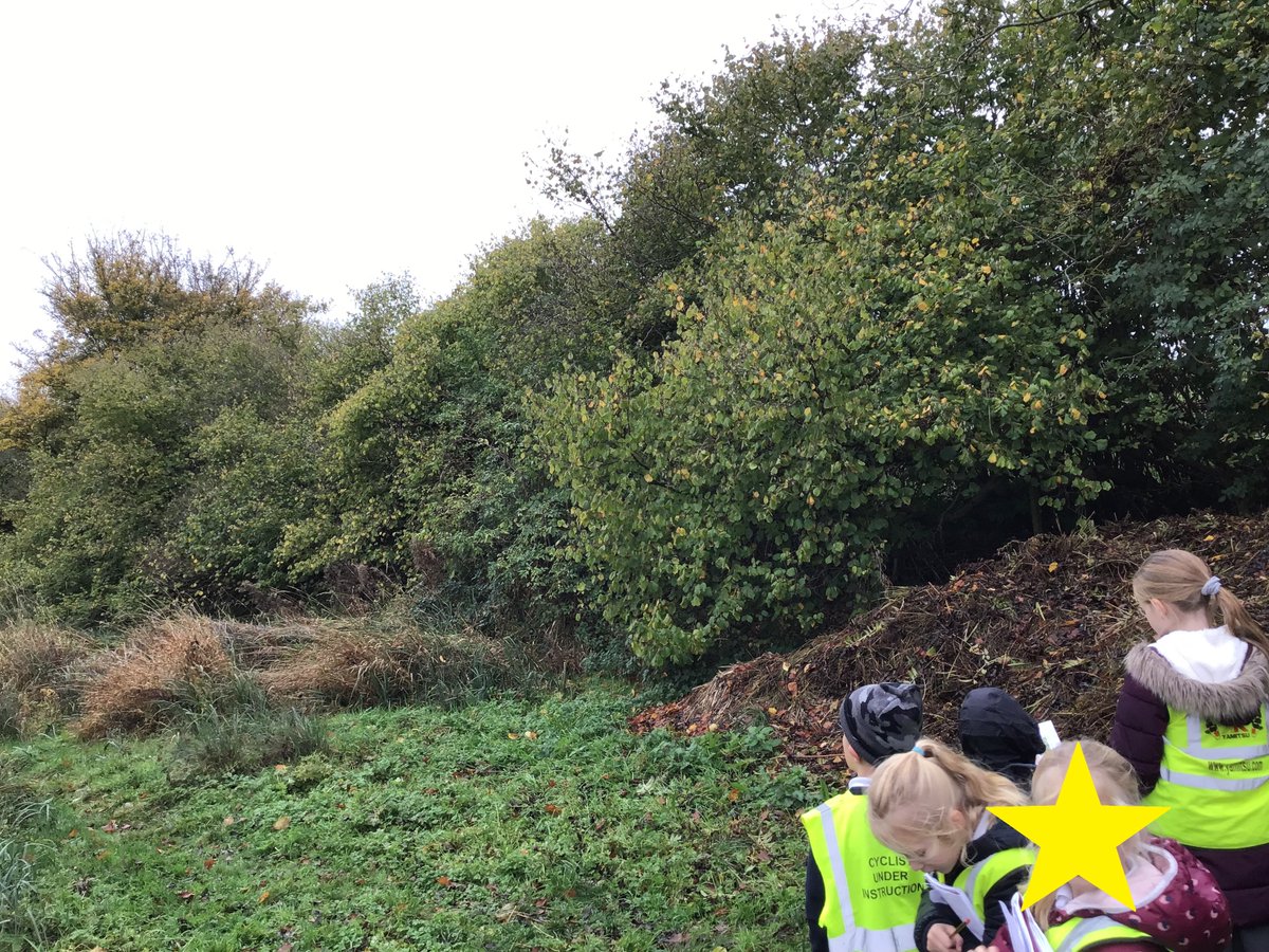 Great Waldingfield CEVC Primary School tweet media